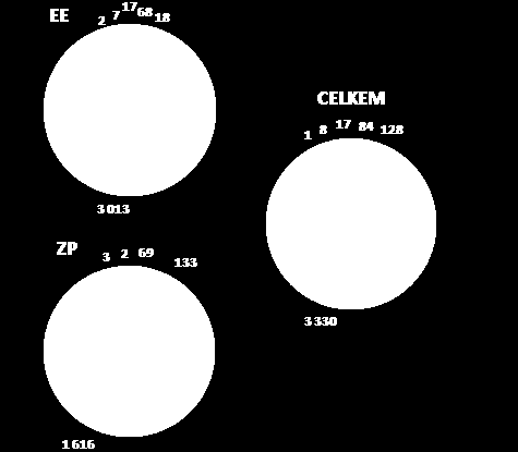 VYHODNOCENÍ VÝSLEDKŮ DLE DOMÁCNOSTÍ 29.