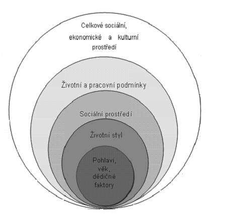 Obrázek 1 Sociální determinanty zdraví Zdroj: Kaňová, 2002 Obrázek 1 Sociální determinanty zdraví - znázorňuje působení různých sociálních determinant na zdraví.