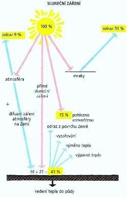 obrázek převzat: http://www.uel.cz/download/multimedialni_ucebni_text/ekologie%20lesa_files/image018.