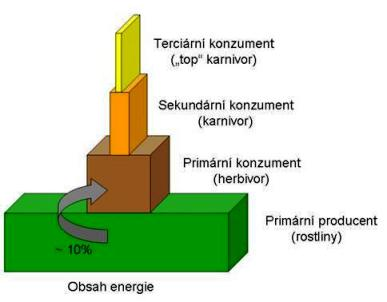 http://apendix.prf.jcu.cz/dolezal/vyuka/ekologie/ekologie_soubory/image004.