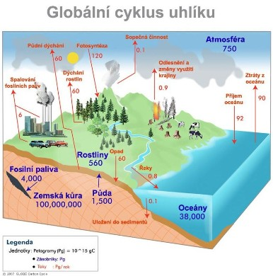 dalších zdrojích (oxid uhelnatý aj.). Do atmosféry se uhlík dostává především při dýchání a spalování fosilních paliv a to ve formě CO 2. Oxid uhličitý se uvolňuje také při rozkladu uhličitanů, např.