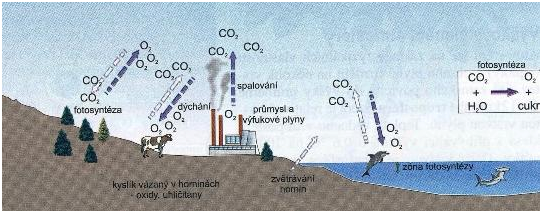 http://upload.wikimedia.org/wikipedia/commons/9/96/oxygen_cycle.
