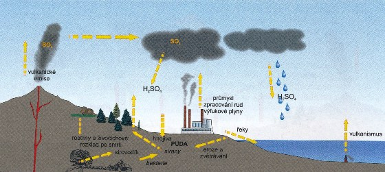 http://www.mib.wur.nl/nr/rdonlyres/2752e926-3176-44ad-b932-346ca28f4699/66678/sulfur cycle995.jpg Člověk do koloběhu síry zasahuje především spalováním fosilních paliv, zejména hnědého uhlí.