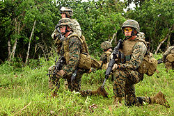 ámořní pěchota Spojených států amerických USMC ámořní pěchota Spojených států amerických (United States Marine Corps, USMC), často označované jen Marines, US Marines nebo česky Mariňáci je složkou
