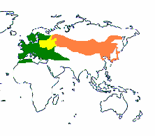 Rozšíření hlavních vektorů B.b. + TBE Zelená: I. ricinus, oranžová: I. persulcatus, žlutá: oba původci. Zdroj:http://www.euro.who.