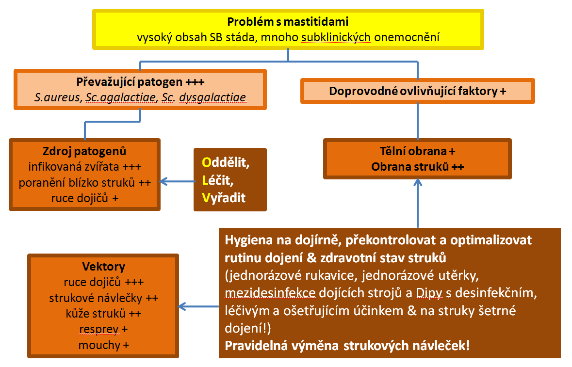 Analýza rizika v