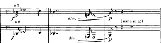 Obrázek č. 94 Malou orchestrální mezihru předjímá první a druhý lesní roh s drţeným hraným cis2 (obrázek č. 95). Obrázek č.
