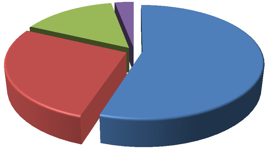 Pojištění odpovědnosti za škodu z výkonu povolání 15% 3% 27% 55%