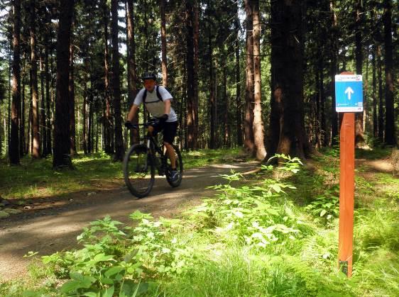 Monitoring návštěvnosti Singltreku pod Smrkem na trase