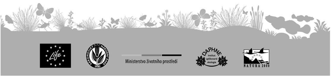 Obsah Úvod... 3 Termín terénního sledování... 3 Vymezení profilů... 4 Popis stanoviště... 5 Odlov elektrickým agregátem... 6 Zpracování dat... 7 Použité podklady.