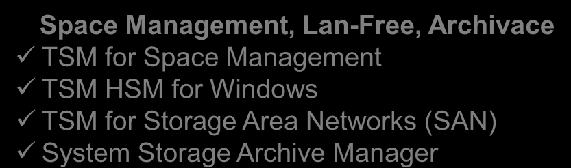 IBM Tivoli Storage Manager Rodina produktů TSM Server Tivoli Storage Manager 6 Backup/Recovery Archive/Retrieve TSM 6 Extended Edition (Basic plus.