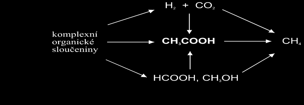 Obr. 2: Role kyseliny octové v anaerobním procesu Homoacetogenní mikroorganismy Homoacetogenní mikroorganismy rostou na jednouhlíkatých i víceuhlíkatých substrátech.