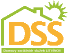 rok 2013 Předkládá: Domovy sociálních služeb Litvínov,