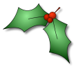 Řešení: 1) c, 2) a, 3) a, 4) a, 5) a, 6) b, 7) a, 8) c, 9) b, 10) b Z Klokanovy kapsy Vánoční kvíz SUDOKU 1) Co je to Štědrý den? a) první svátek vánoční, slaví se 25. 12.
