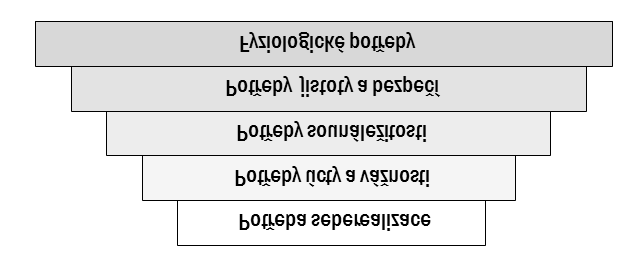 identifikují firmu; tři základní funkce: 1.definiční kdojsmeacotuchceme; 2. strategická jak budeme uspokojovat potřeby; 3.