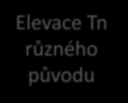 Elevace Tn