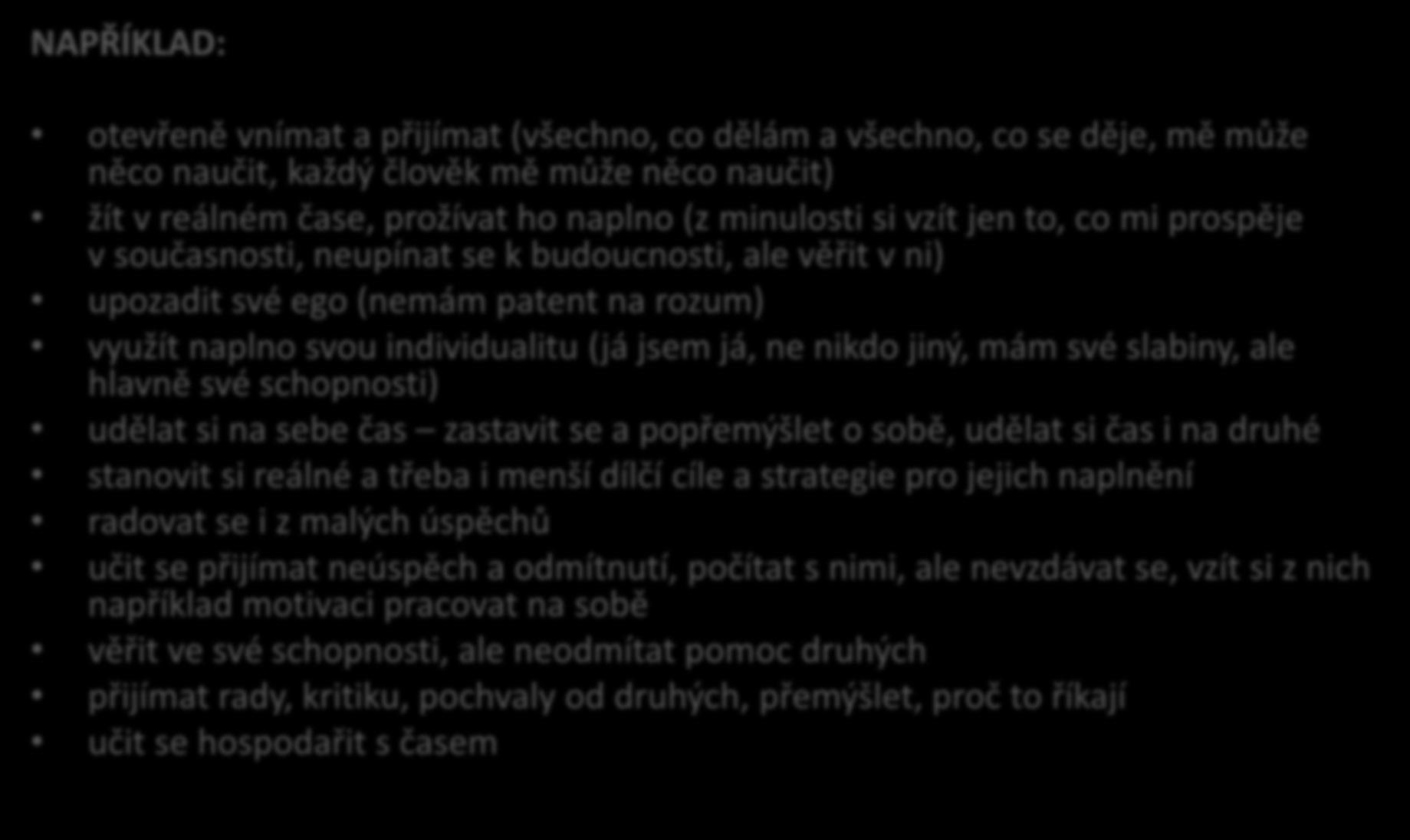 Možnosti průvodce NAPŘÍKLAD: otevřeně vnímat a přijímat (všechno, co dělám a všechno, co se děje, mě může něco naučit, každý člověk mě může něco naučit) žít v reálném čase, prožívat ho naplno (z