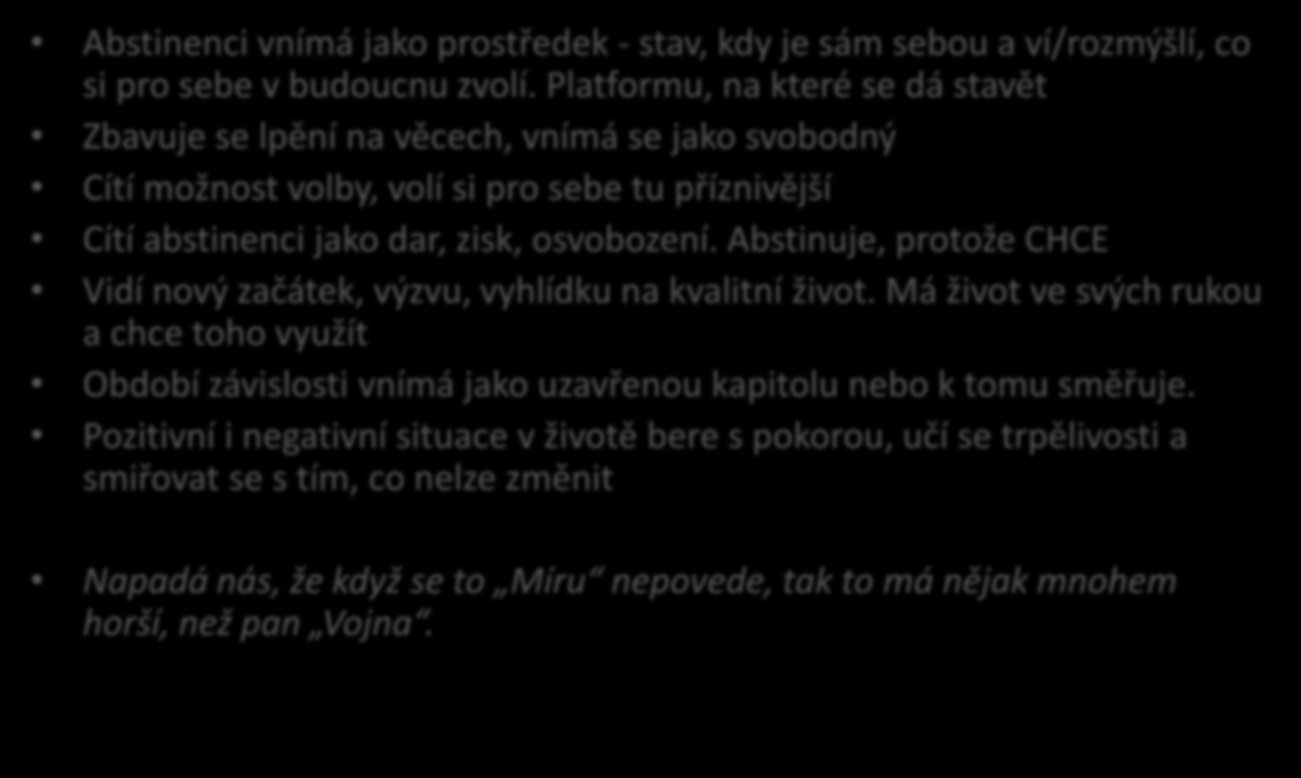 Typ MÍR - naše hypotézy Abstinenci vnímá jako prostředek - stav, kdy je sám sebou a ví/rozmýšlí, co si pro sebe v budoucnu zvolí.