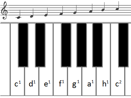 Tón c 1 d 1 e 1 f 1 g 1 a 1 h 1 c 2 Ladění absolutní výška (Hz) temperované 262 294 330 349 392 440 494 524 přirozené 264 297 330 352 396 440