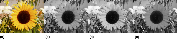 Rozdíl těchto převodních postupů zachycuje Obrázek 16, kde (a) zobrazuje původní obraz, (b) výsledek zprůměrování, (c) luminaci, (d) světlost.