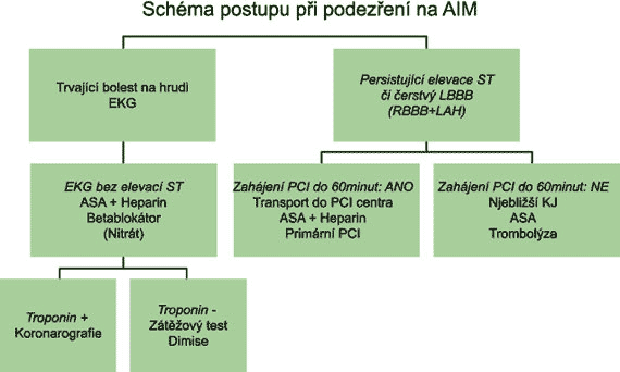 pohybovat maximálně kolem 1 hodiny, realita v České republice je kolem 3-5 hodin. Je ovlivnitelná částečně osvětou: pojem "zlatá hodina" by měl znát kaţdý občan, b. Doba "telefon - příjezd".