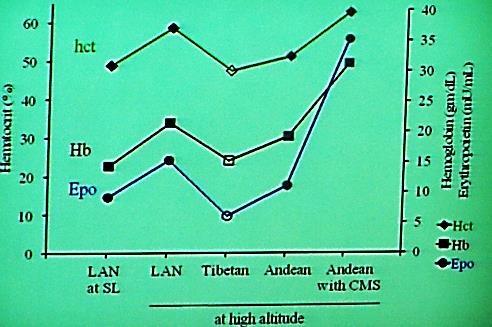 High Altitude Tolerance: Lessons from Tibet Max Gassmann, Zürich, Switzerland Poznatky a poučení z Tibetu Jaký je optimální hematokrit pro maximální výkon?