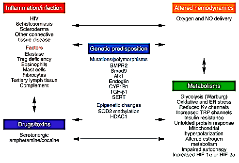 Epigenetics and high altitude tolerance Urs Scherrer, Bern, Switzerland Epigenetika a tolerance velké výšky