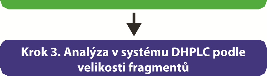 10 Získání primárního vzorku, manipulace a uchovávání 10 Získání primárního vzorku, manipulace a uchovávání Souprava SURVEYOR Scan KRAS Kit Exon 2 CE IVD pro systém DHPLC je validována pro použití s