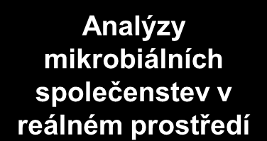 Přístupy k ME výzkumu vs hodnocení ER Prospektivní hodnocení ekologických rizik Laboratorní testy (eko)toxicity Toxicita variabilita neznámé