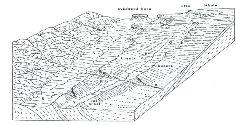 odolných. (viz obr. 4.10) b) nesouměrné hřbety a kuesty: Georeliéf z hornin s různou odolností. Obr. 4.10: Kozí hřbety a kuesty na čelech odolnějších pískovcových vrstev.