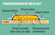 Základní složení TTS Základní struktura TTS: Vnější krycí vrstva Nepropustná pro LL a vodu