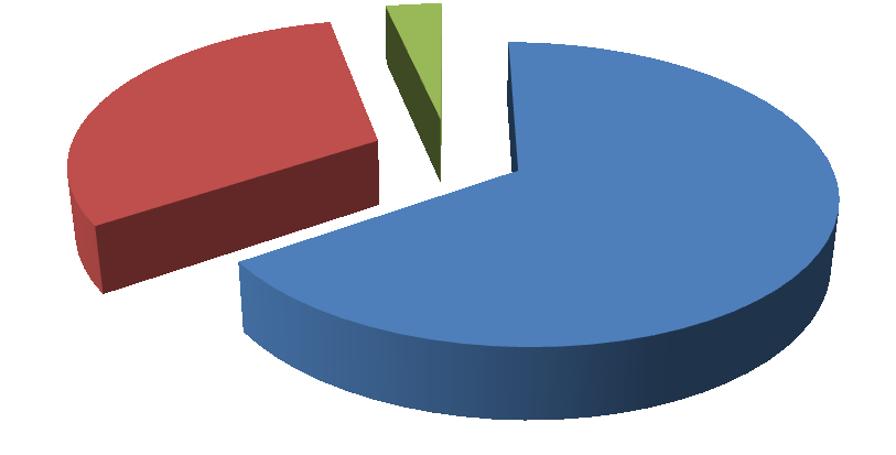 SPÍŠE ANO 31% SPÍŠE NE 3% ANO 66% Graf č. 4: Procentuální vyjádření spokojenosti u celní správy.