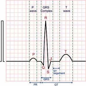 1.4 EKG hodnoty 1.5 Výhody přístroje ReadMyHeart (RHM) ReadMyHeart je záznamové zařízení sloužící pro sledování elektrické aktivity srdce v jakoukoli dobu a na jakémkoli místě.