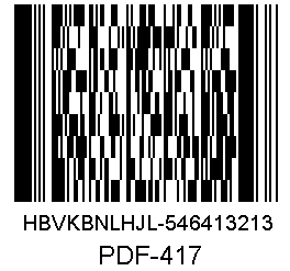 UTB ve Zlíně, Fakulta aplikované informatiky, 2010 24 databázi externího systému, si PDF 417 nese všechny údaje s sebou a stává se tak nezávislý na vnějším systému.