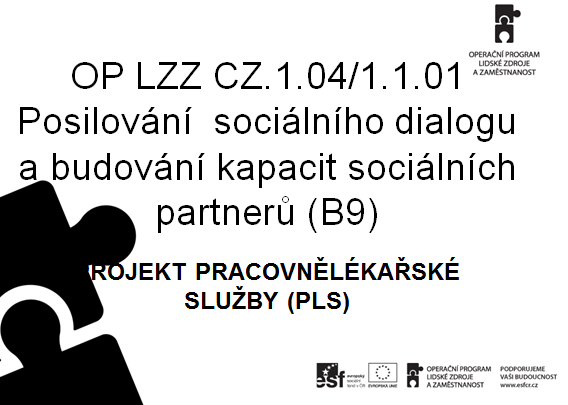 Identifikované problémy: Špatná dostupnost poskytovatelů PLS Odborná způsobilost poskytovatelů PLS Nejednotné zařazování prací do kategorií prací hygienickými stanicemi Stanovení časových limitů