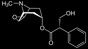 UTB ve Zlíně, Fakulta technologická 29 3.2 Durman obecný Durman obsahuje především alkaloidy (list i semeno až 0,5 %), hlavně hyoscyamin, popřípadě atropin a skopolamin.