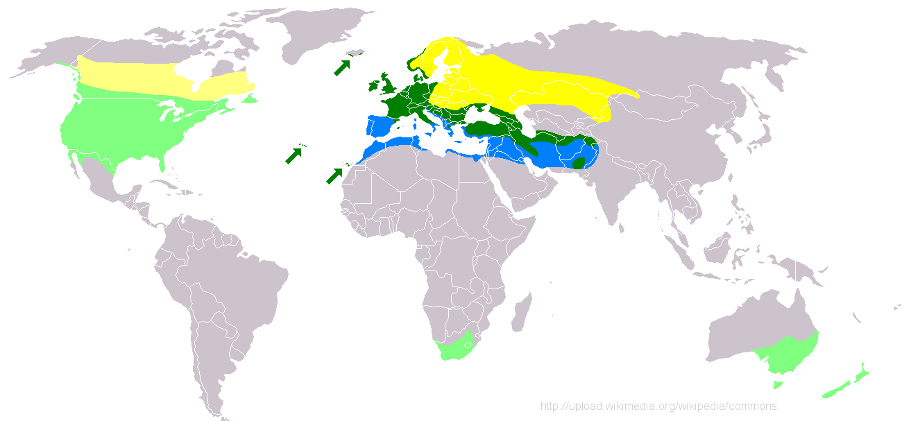 Původnía nepůvodnídruhy Rozšíření špačka obecného (Sturnus vulgaris) tmavé odstíny: původní výskyt (sytě žlutě = oblast letního rozmnožování; tmavě zeleně =