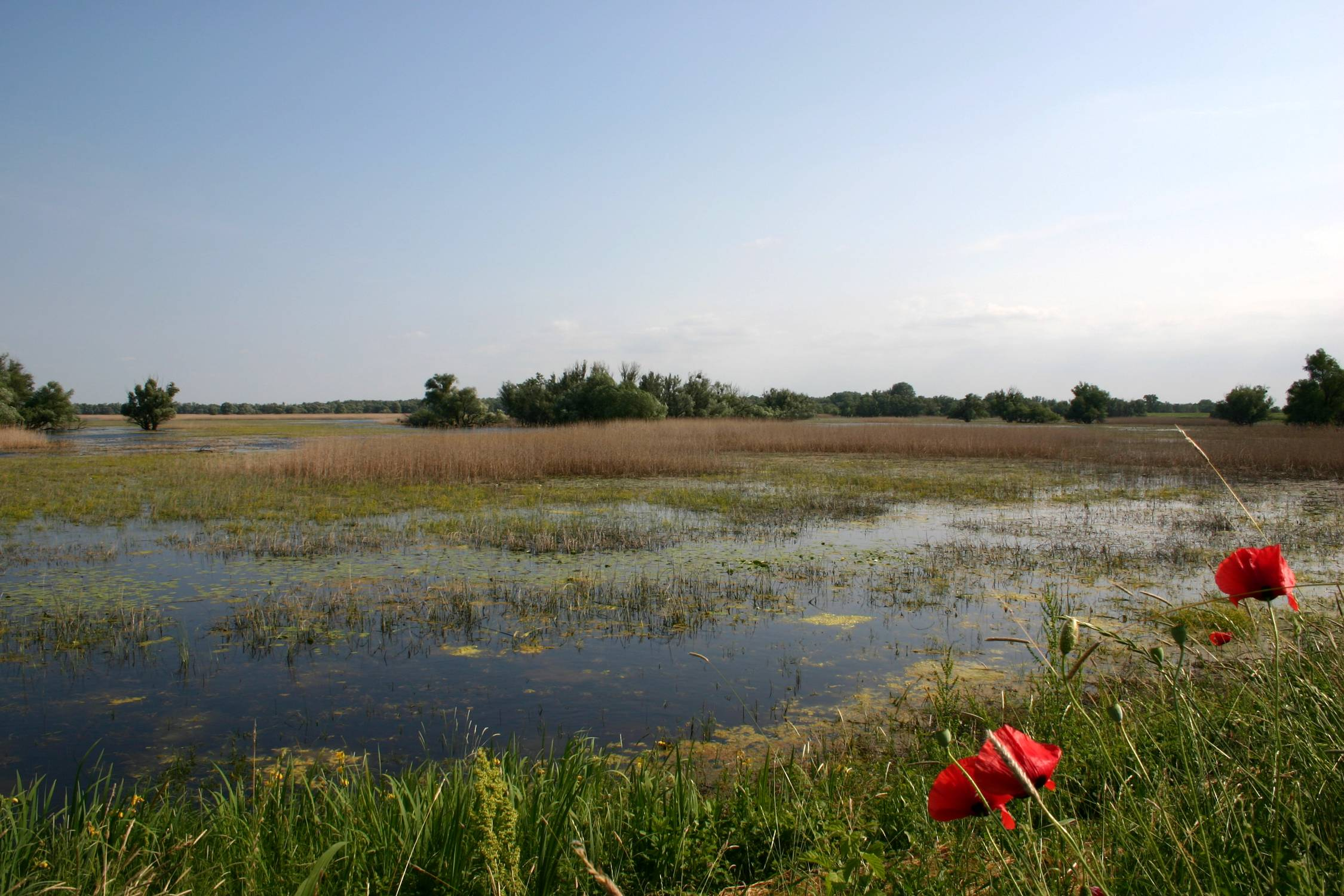 Národní park Kopački Rit Nachází se ve východní části Chorvatska, v oblasti Baranja.