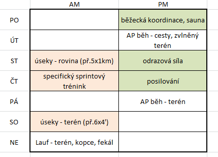 SYSTÉM - syntéza syntézou všech žádoucích vlivů může být návrh vzorového týdne individuální povaha (doby