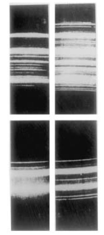 V. Raman wins Nobel Prize in Physics 1961 Invention of laser makes Raman experiments reasonable 1977 Surface-enhanced Raman