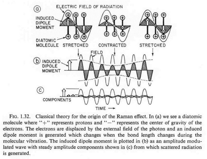 Teoretický základ Ramanova jevu v klasickém přiblížení m ind = E polarizovatelnost Colthup