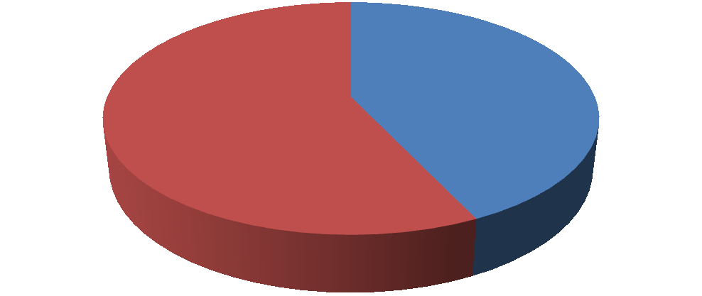 Graf 5 Podíl trţby z rezervace přes internetové portály na celkové trţbě podniku v roce 2010 Tržby 2010 tržby ostatní tržby portály 43% 57% Zdroj: vlastní Tato spolupráce s internetovými portály