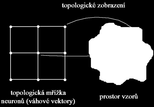 UTB ve Zlíně, Fakulta aplikované informatiky, 2012 44 6.7 Kohonenová síť Kohonenova síť patří k sítím s topologií stromu (lesu) a je navržena ve smyslu rozvinutí úvahy soustředěných v perceptronu.