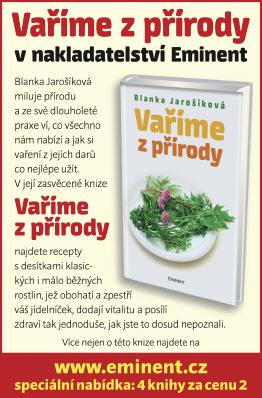 Radek Habáň NEŽ ZAZVONÍ ZVONEC Romantický příběh prince, princezen a hodného Honzy zaručeně potěší všechny dívčí duše.