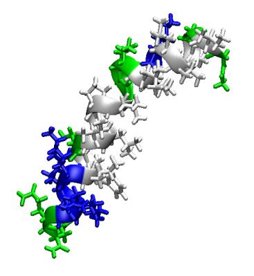 antimikrobiální peptid, složený z 26 AK molekulová hmotnost cca 2,8 kda struktura α-helixu izoelektrický bod 12,55 různé typy melittinu a různé sekvence (druh včely) rozpustný ve vodě,