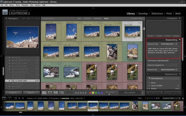 Petr Bambousek Wildlife Photography - Lightroom 1 Page 5 of 6 Shrnutí: Přenesené fotografie do Lightroomu označím barevnými štítky podle motivu - Vyfiltruji jednotlivé barvy Přidám hromadně Klíčová