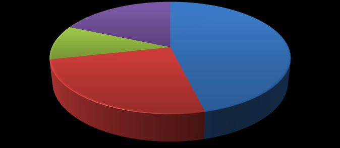 navštívilo 46 % dotazovaných (60 osob). Návštěvu potřetí či počtvrté zopakovalo 25 % respondentů (33 osob).