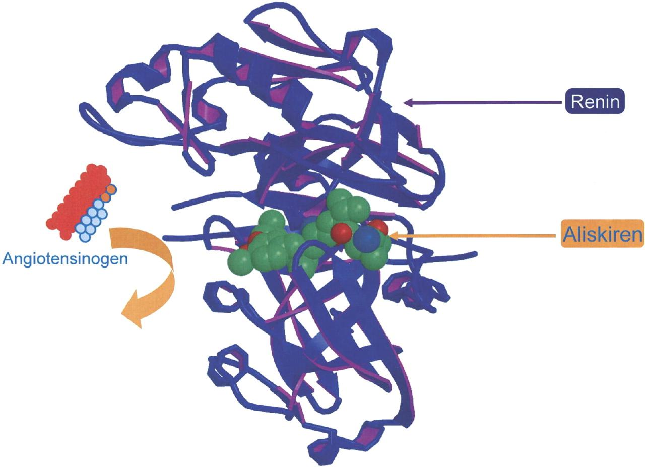 Inhibitory reninu blokáda konverze