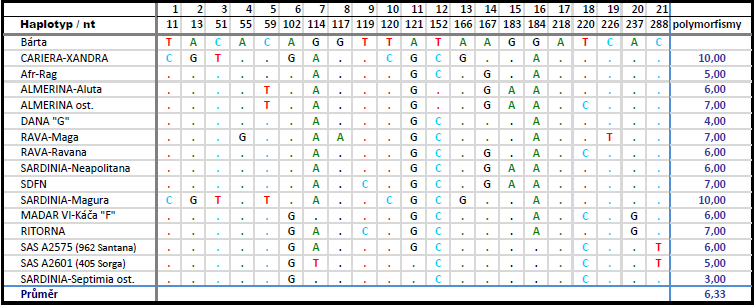Tab. 16: Polymorfní lokusy kladrubských rodin Afr-Rag = Africa Maestosa E, Ragusa, Ragusa-Raguza SDFN = 390 Caprida (A2605SAN), Deflorata-Plutona,