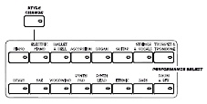 hraní v různých situacích. Veškeré nastavení ovládacího panelu můžete uložit do paměti Performance (včetně nastavení táhel Digital Drawbar Organ).